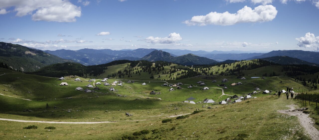 Just some random image I took this year